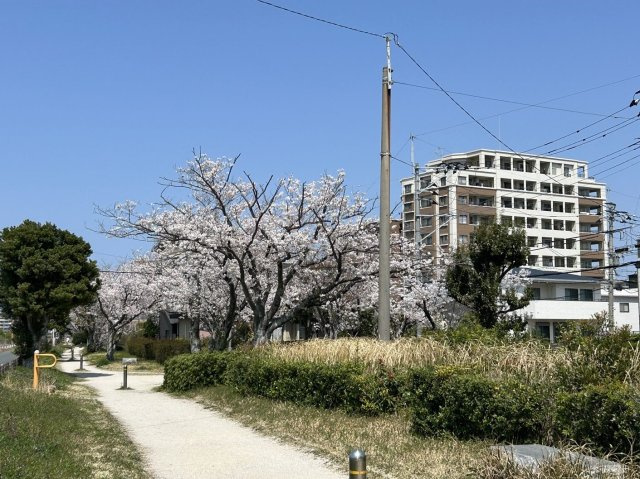 【その他】 | アーサー室見ツインパークス