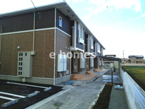 エヴェリーナ　Ⅰの画像