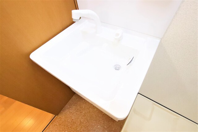 シャンプードレッサー☆彡