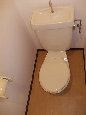 ドリームハイツ辻Ａのトイレ