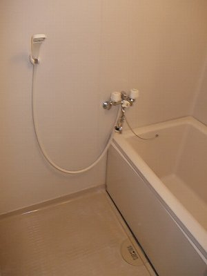 ドリームハイツ辻Ａの浴室