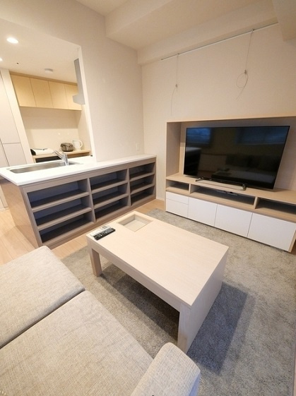 港区赤坂９丁目の賃貸マンションの居間・リビング|家具家電は付きません
