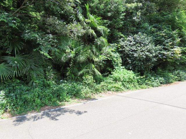 川越市かすみ野売地の展望