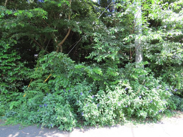 川越市かすみ野売地の展望