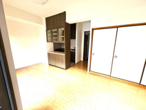 ダイアパレス文理大南壱番館の画像