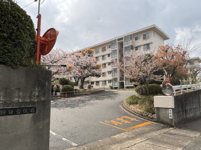 【外観】 | 明舞(八)団地　２２号棟