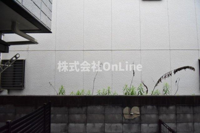 【展望】 | ベルラビット