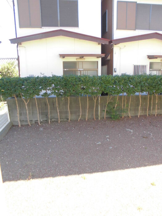 セジュール野島の庭|専用庭