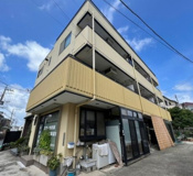 ルミネイトウの画像