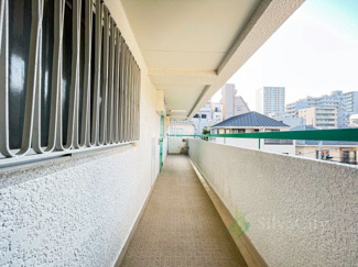 【その他共用部分】 | グリーンキャピタル神楽坂 | 廊下