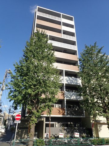 Ｂｏｎｈｅｕｒ　Ｈａｋｕｓａｎ（ボナール白山）の外観