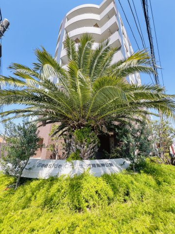 Shonan空色リノベ邸宅 inシーサイドコート湘南海岸公園の庭