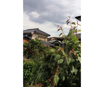 【展望】 | グレースタマミ