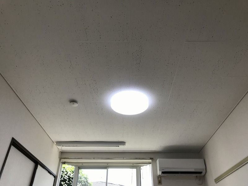 アムール柏の展望
