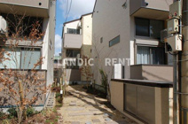 アプリコットの画像