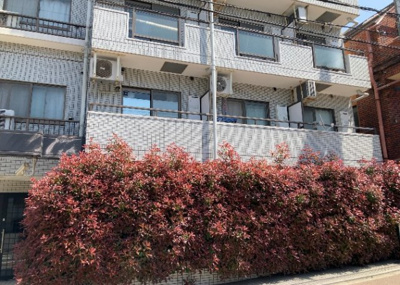 【現況写真】 | クリオ東林間壱番館 | 景色重視でお家選ぶをするとスーパーが遠い！学校が遠い！など生活をするうえで利便性で困ることもあります。まず一度現地を見学する際に、周辺の施設などがあるかを確認し、暮らし始めた後のことを想像しましょう。