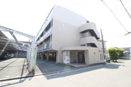 アールグレイ山本の画像