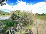 【土地】北中城村字熱田(133.4坪)の画像