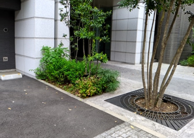 【中庭】 | クリオレジダンス八王子　ザ・マークス | 中庭（パティオ）とは、一つの建築物の内部に設けられた、壁などで囲われている庭のことを指します。コの字型、ロの字型が主流ですが、L字型の中庭もあります。最近では、インテリア性の高さからも人気があります。