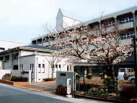 アゼリア六甲の周辺|鷹匠中学校