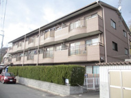 チェリーコートの画像