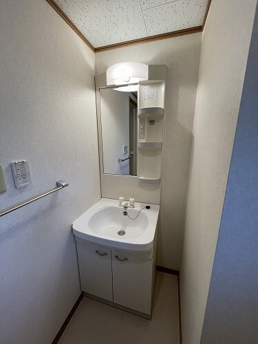 アプランドル Ⅳの洗面所