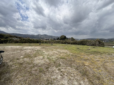 【外観】 | 桜川市西小塙459坪売地