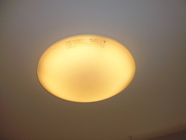 カレントの内装|照明器具