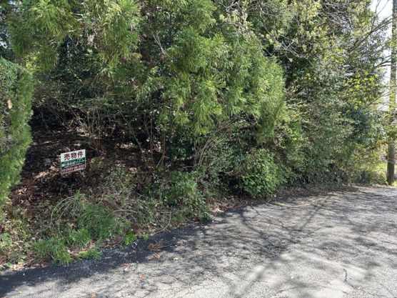 【外観】 | すいらん荘別荘地　売地