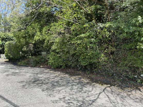 【外観】 | すいらん荘別荘地　売地