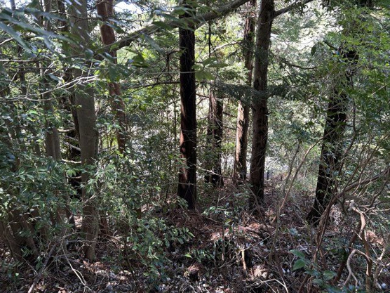 【外観】 | すいらん荘別荘地　売地