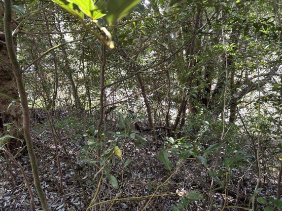 【外観】 | すいらん荘別荘地　売地