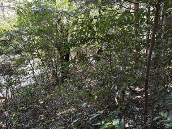 【外観】 | すいらん荘別荘地　売地