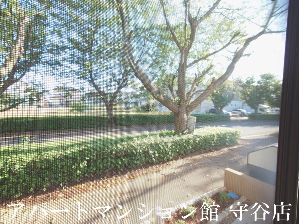 ルノンⅠの展望