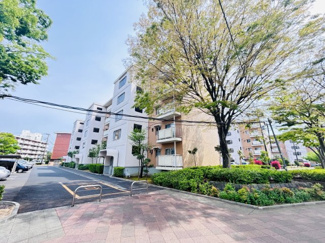 【外観】 | 【外観】
マンション周囲には豊かな植栽があり、四季折々の景色が楽しめる住環境です。