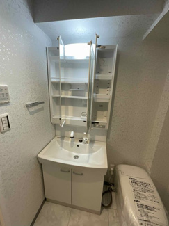 【独立洗面台】 | プラザローヤル５ | プラザローヤル5の独立洗面台は新品です。内装フルリノベーション済みです。
