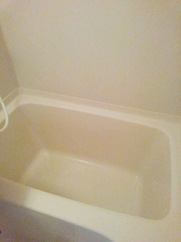 ピースフルハイツの浴室