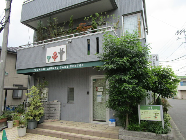 メゾン　パルトゥネールの周辺|つるせアニマルケアセンター