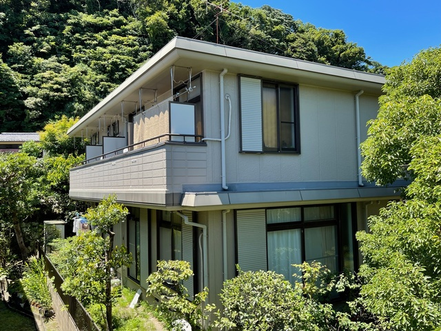 ハイム今是
