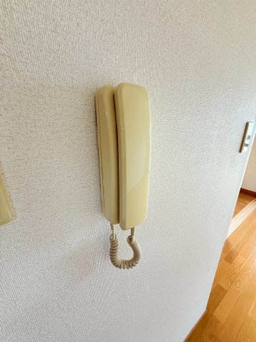 花水木KⅠのセキュリティ