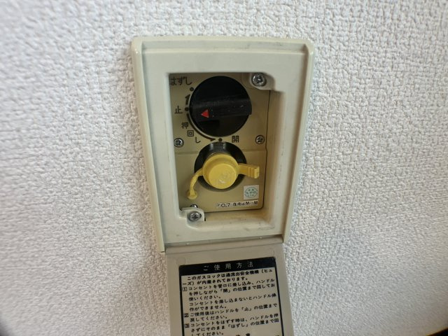 さいたま市桜区西堀２丁目の賃貸マンションのセキュリティ