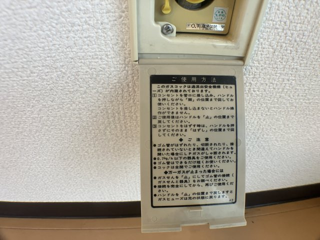さいたま市桜区西堀２丁目の賃貸マンションのセキュリティ