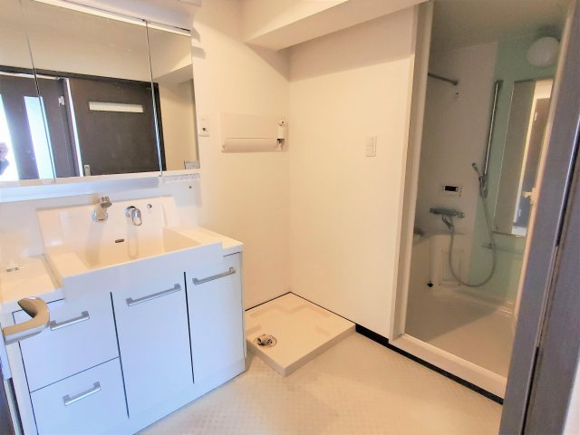 さいたま市桜区西堀２丁目の賃貸マンションの洗面所|洗面所