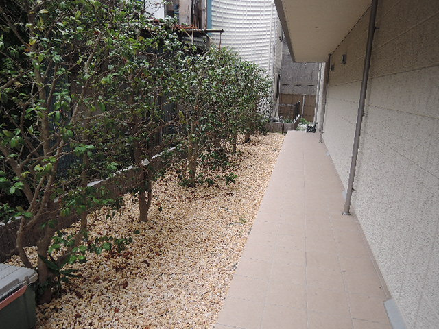 ＣｏｍｆｏｒｔＲｅｓｉｄｅｎｃｅ上大岡Ⅴのエントランス|エントランスアプローチ