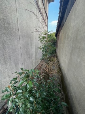 【周辺】 | 山川町土地