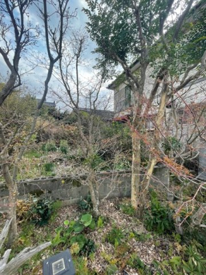 【周辺】 | 山川町土地