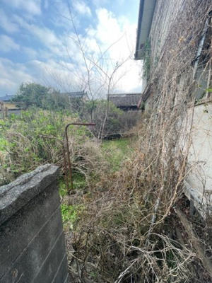 【周辺】 | 山川町土地