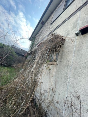 【周辺】 | 山川町土地