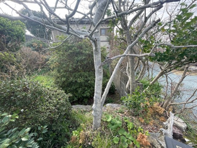 【周辺】 | 山川町土地