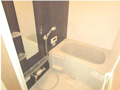  | リトルグリーン辻子